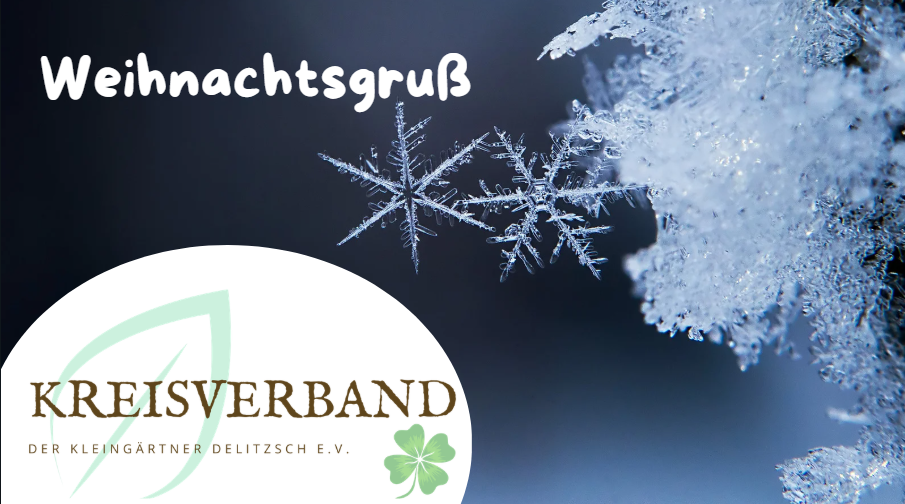 Bild zu Weihnachtsgruß 2025/2026